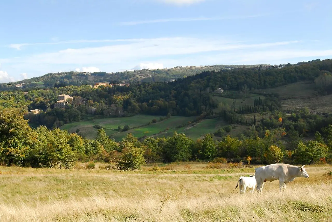 A Stay Surrounded By Greenery - Agriturismo La Piaggia - Vivo d'Orcia 0*,  Italy